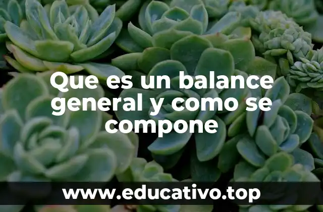 Que es un balance general y como se compone