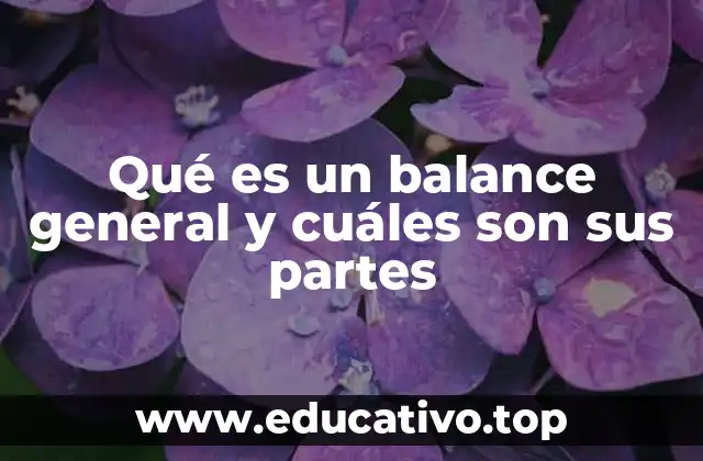 Qué es un balance general y cuáles son sus partes