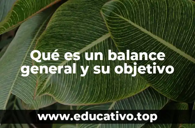 Qué es un balance general y su objetivo