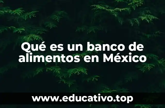 Qué es un banco de alimentos en México