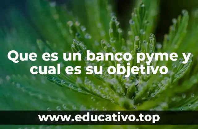 Que es un banco pyme y cual es su objetivo