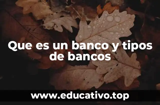 Que es un banco y tipos de bancos