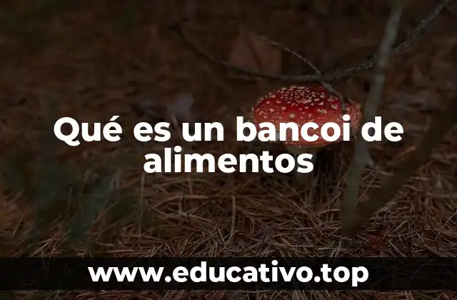 Qué es un bancoi de alimentos