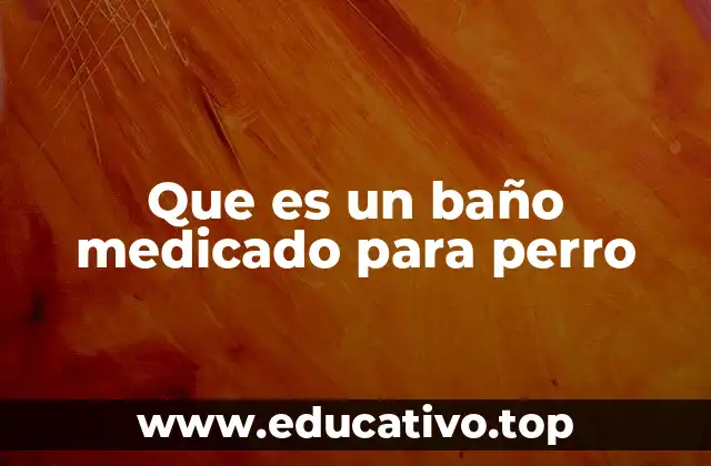 Que es un baño medicado para perro