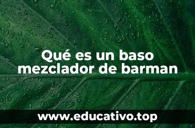 Qué es un baso mezclador de barman