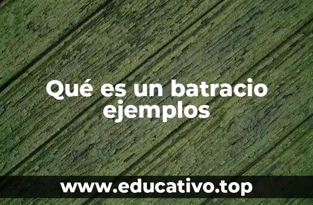 Qué es un batracio ejemplos