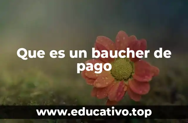 Que es un baucher de pago