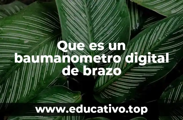 Que es un baumanometro digital de brazo