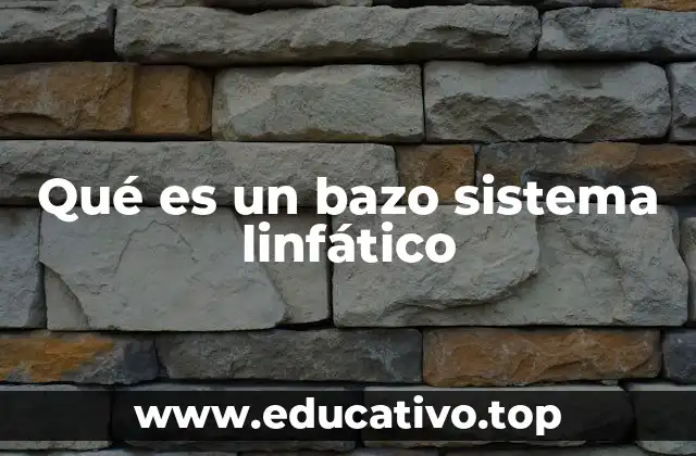 El papel del bazo en la respuesta inmunitaria