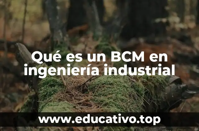 Qué es un BCM en ingeniería industrial