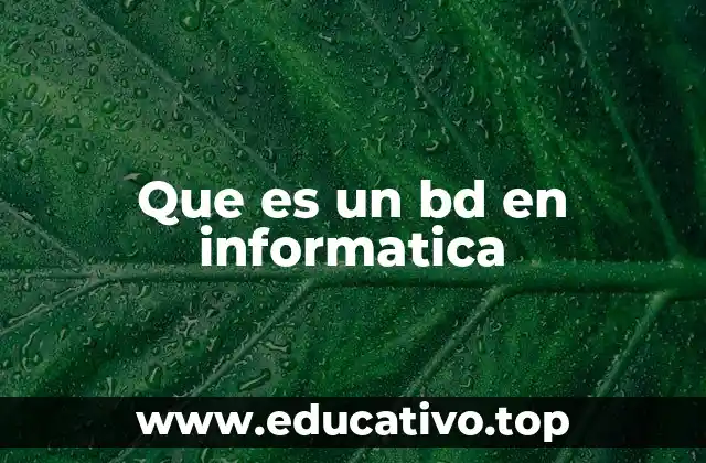 Que es un bd en informatica