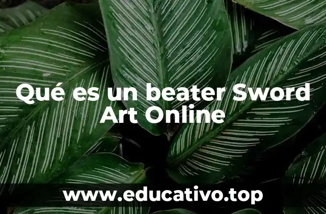 Qué es un beater Sword Art Online