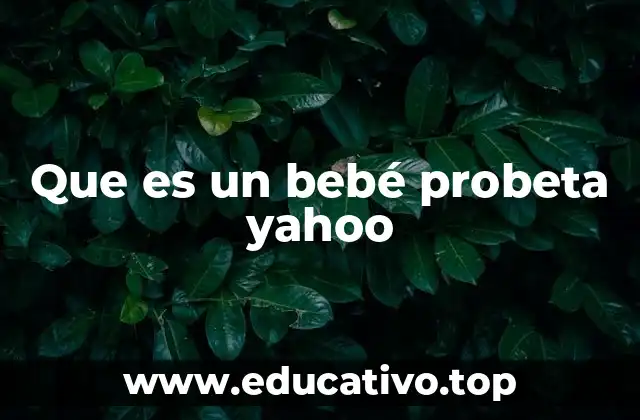 Que es un bebé probeta yahoo