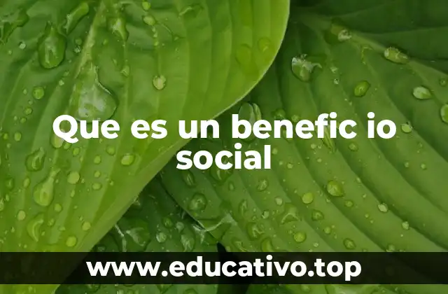 Que es un benefic io social