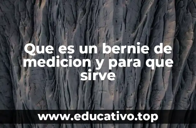Que es un bernie de medicion y para que sirve