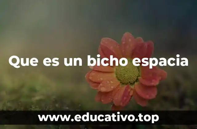Que es un bicho espacia