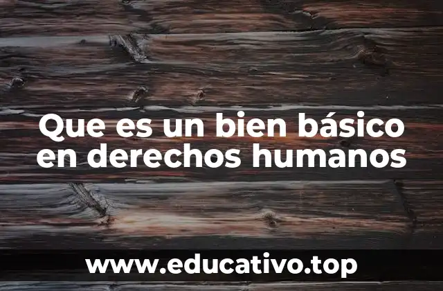 Que es un bien básico en derechos humanos