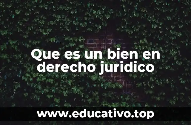 Que es un bien en derecho juridico