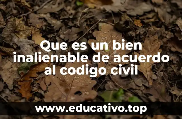 Que es un bien inalienable de acuerdo al codigo civil