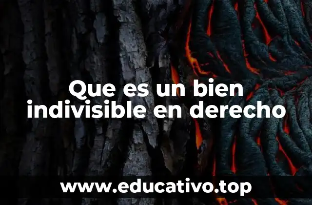 Que es un bien indivisible en derecho