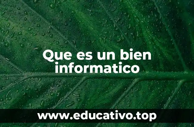 Que es un bien informatico