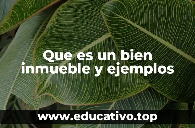 Que es un bien inmueble y ejemplos