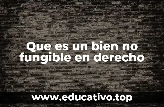 Que es un bien no fungible en derecho