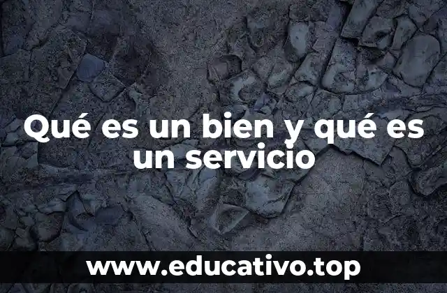 Qué es un bien y qué es un servicio