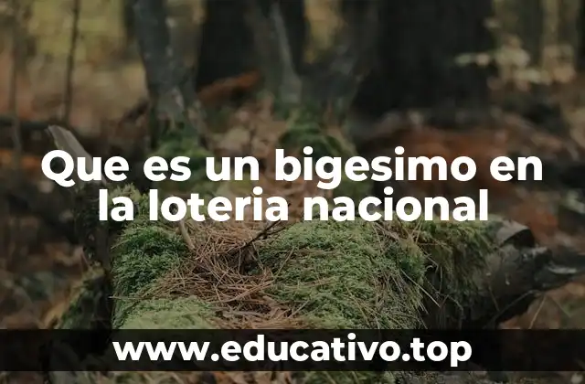 Que es un bigesimo en la loteria nacional