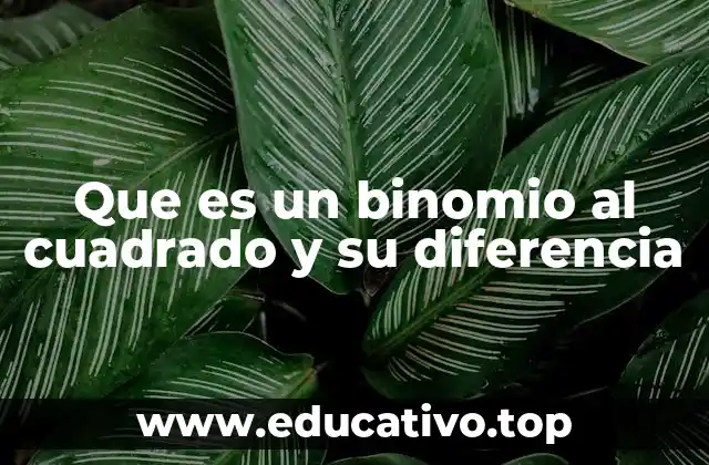 Que es un binomio al cuadrado y su diferencia