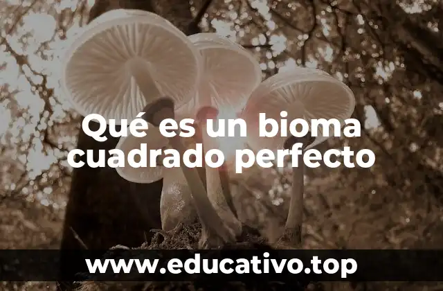 La importancia de representar los biomas de forma estructurada