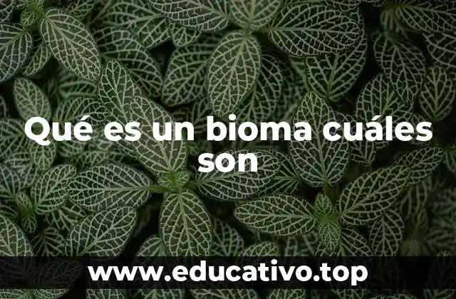 Qué es un bioma cuáles son