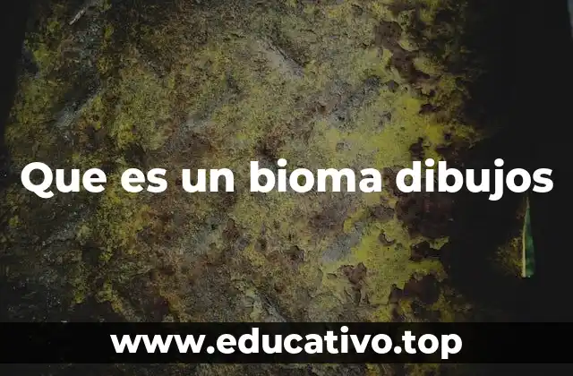 Que es un bioma dibujos
