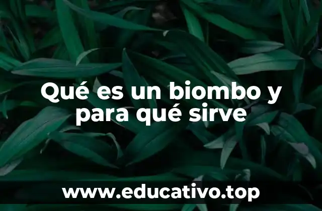 Qué es un biombo y para qué sirve