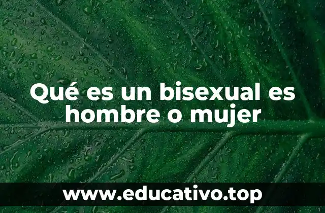 Qué es un bisexual es hombre o mujer