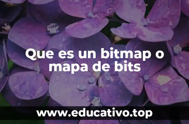 Que es un bitmap o mapa de bits