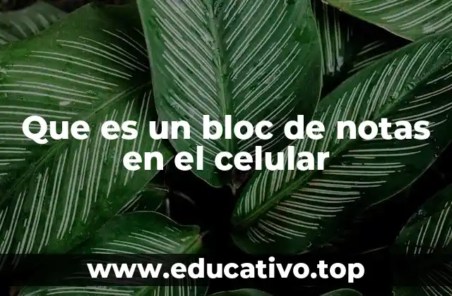 Funcionalidades básicas y avanzadas de los blocs de notas móviles