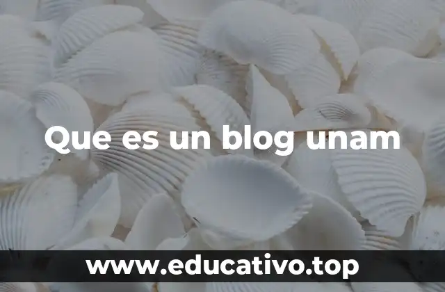 Que es un blog unam
