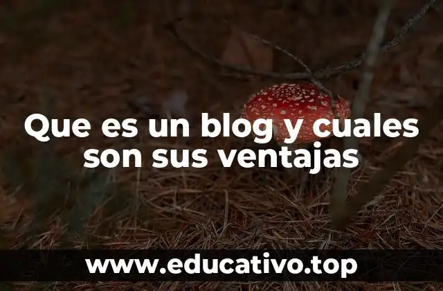 Que es un blog y cuales son sus ventajas