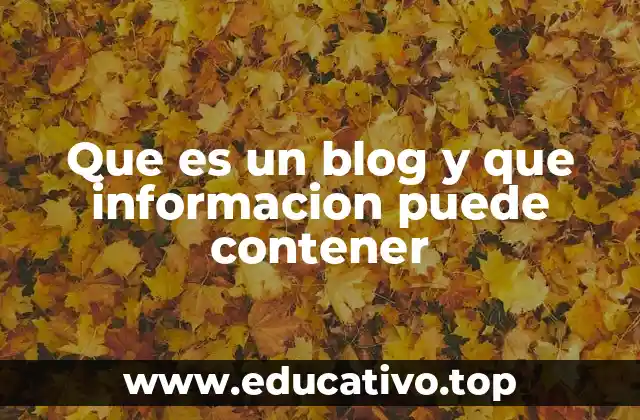 Que es un blog y que informacion puede contener