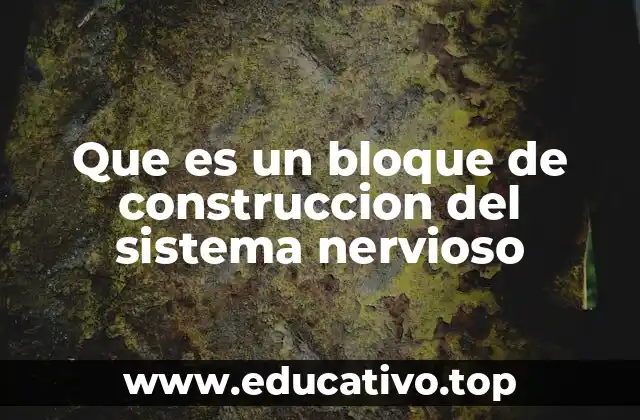 Que es un bloque de construccion del sistema nervioso