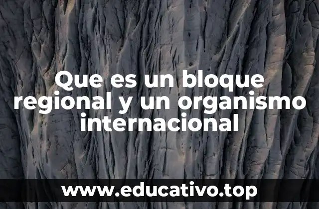 La importancia de la cooperación entre naciones