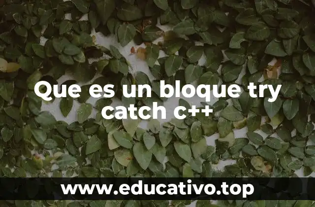 Que es un bloque try catch c++