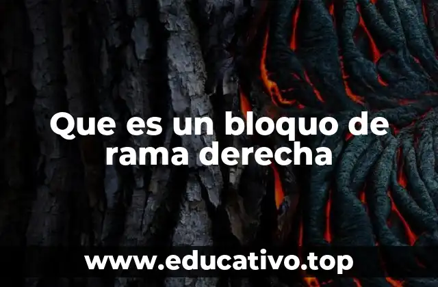 Que es un bloquo de rama derecha