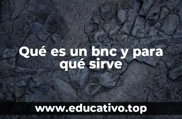 Qué es un bnc y para qué sirve
