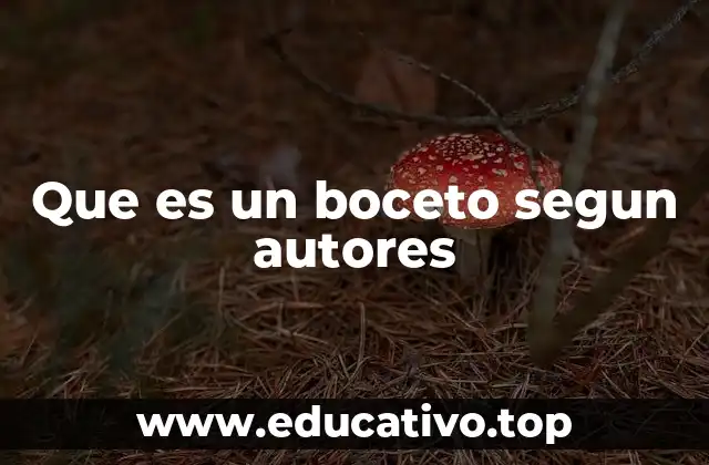 Que es un boceto segun autores