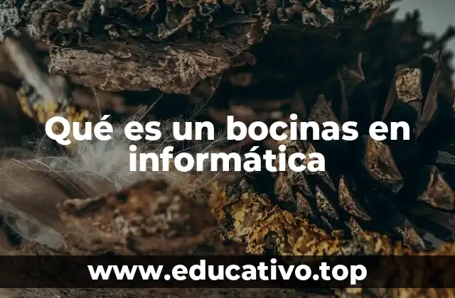 Qué es un bocinas en informática