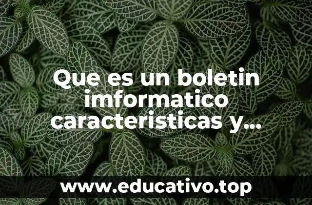 Que es un boletin imformatico caracteristicas y funciones