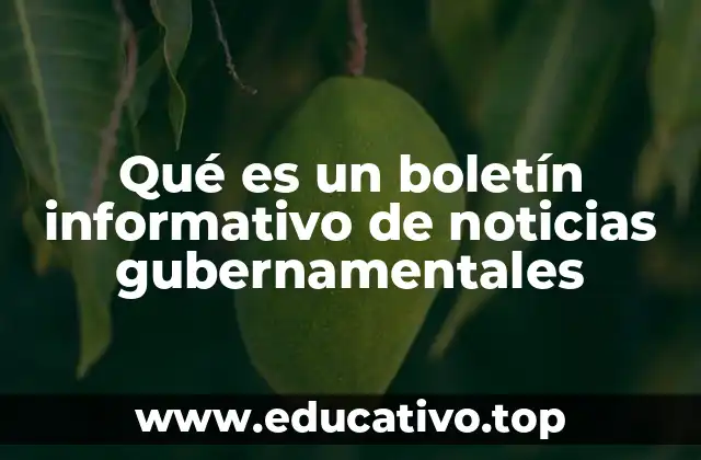 Qué es un boletín informativo de noticias gubernamentales