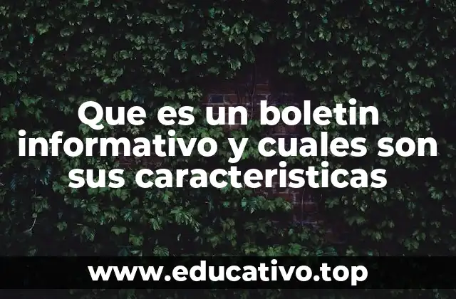 Que es un boletin informativo y cuales son sus caracteristicas